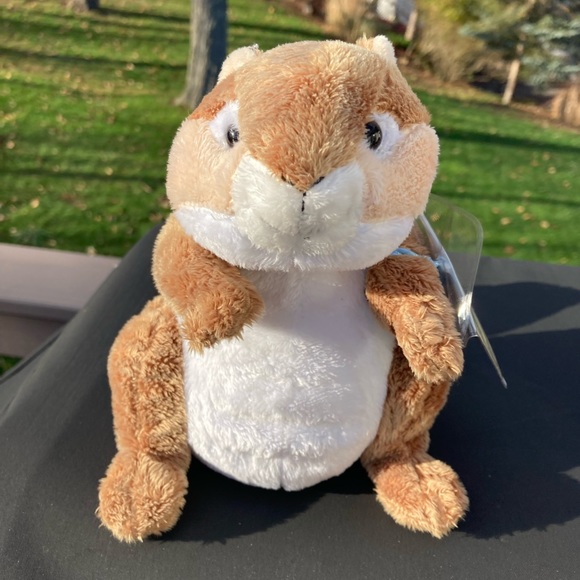 Webkinz Chipmunk Ganz HM217 Sealed Code Retired Plush Stuffed Animal Collectible - Picture 1 of 4